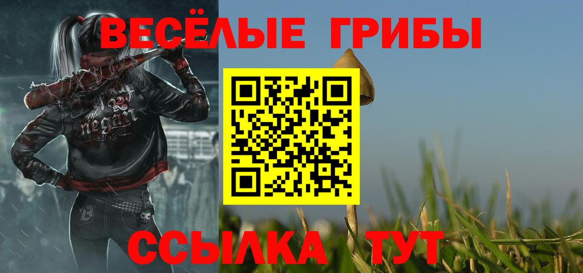 Бугульма  Псилоцибиновые грибы Psilocybe  Вход с VPN 